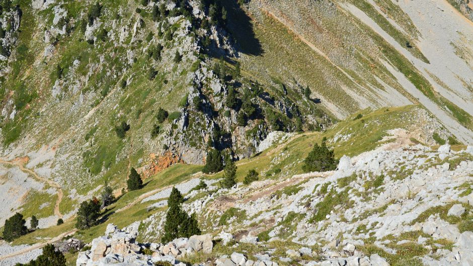 alimentation-en-rando-hydratation-pour-debutants-le-guide-essentiel-de-demarrage