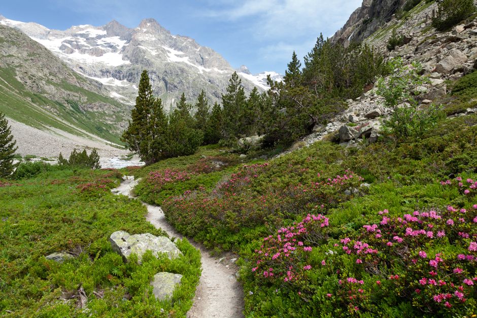 guide-complet-2026-micro-aventures-accessibles-en-train