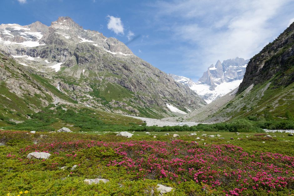 optimiser-l-efficacite-de-materiel-de-randonnee-bivouac-leger-7-astuces-de-specialiste
